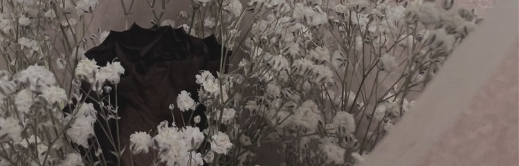 ayunn1008さんのカバー写真
