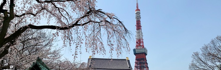 ☆遥か☆さんのカバー写真