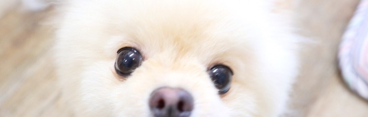 kurari_さんのカバー写真