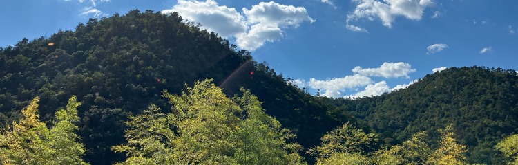 しのまり3296さんのカバー写真