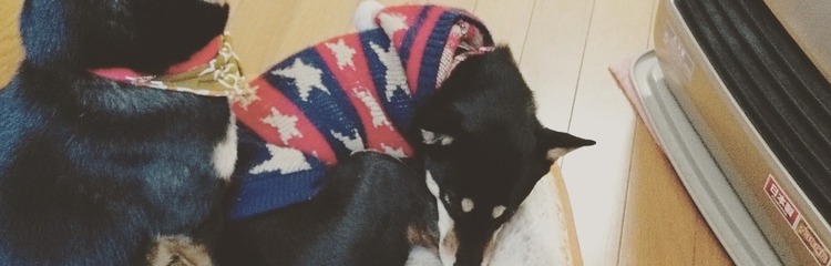 渡貫さんのカバー写真