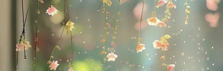 minto88さんのカバー写真