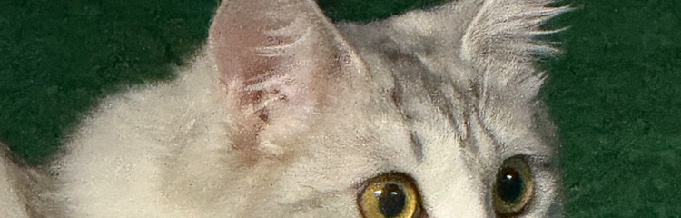 メイク大好き1113さんのカバー写真
