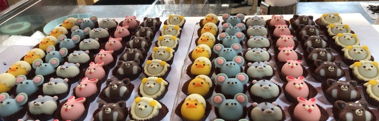 Rukiさんのカバー写真