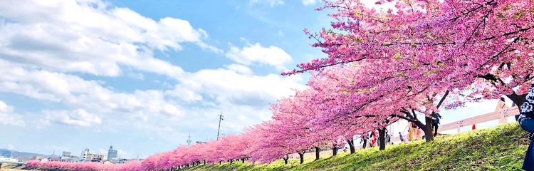 water8lilyさんのカバー写真