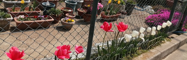 l_n_p_さんのカバー写真