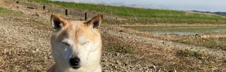 Mi22uMi2uさんのカバー写真