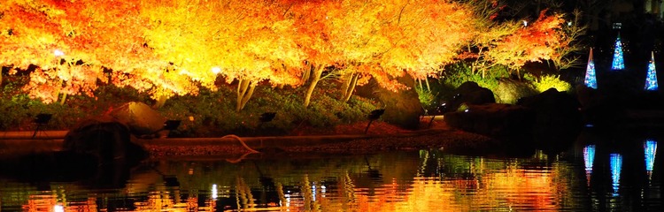 shima*61さんのカバー写真