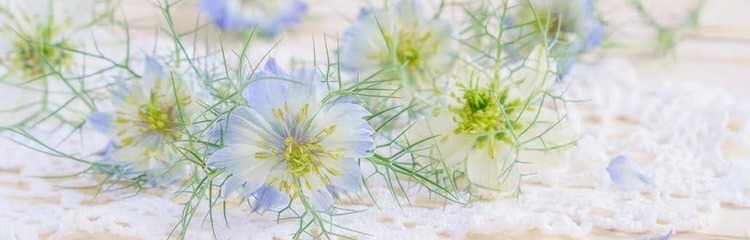 Juana(°_°)さんのカバー写真