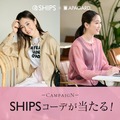 20lɓuSHIPS~ApK[hSgR[fvv[gLy[