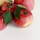 りんごの効果は絶大!?うれしい栄養成分・効果的な食べ方を紹介！