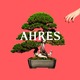 AHRES X܂Љ