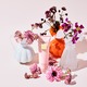 p[Abvu{oXgN[@b`v[@