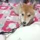 2ڂ̃N`I!!
