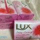 LUX̃\[v܂Ƃߔł