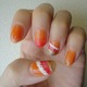 qlj@NAIWƃNA`F[̃Of[VlC