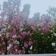 ~珗̂̃CNB ߂L񁖃v`vu[CNҁ