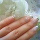 yBeautyzƷ̏ɓhު