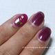 two colorbutterfly