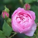 GXg@Z@@AhoXg