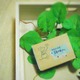 ymilky pikezJ~[Ɠ̐΂