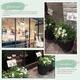 {\SABON
