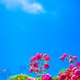 AT[uxẴt@f[VT@Jo}BP20ƐFXr