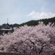 MB@@@ō炫