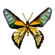 ݑ[NŃZtlCyȂb