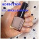 ADDICTION̏tlC Shell Garden!