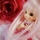DollEBbOƗm̐X̃J}ɂȂ܂̘bB