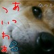 ȂVSҏinQOPS