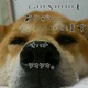 Ȃƈԃ|`F̗LR