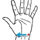 炪RbĂIccނ݌y