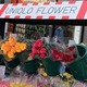 UNIQLO FLOWER