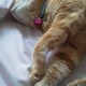 @(=^E^=)