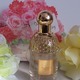 AQUA ALLEGORIA`}_oWbN