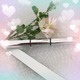 RMK̃J[}XJ