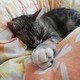 #ʐ^ Li̐Q