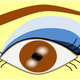 eyeshadow for dummies