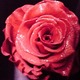 `Ń@h@@hh@LL@h`
