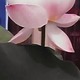 @@̉ԁ@@@IIsɂ͋CĉII