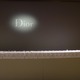 ɓꂽIIfAbv̗DGt@f[V/ Dior\