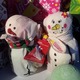 LUSH CHRISTMAS 2012u菤iv܂I