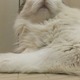 ǂ܂˂