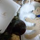 JUNCO CLASSIC / JUNCO CLASSIC BABY