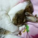 ς炸n}Ă܂I΂`(^^ƍŐV~[V̉f``Ȃĉ̂`