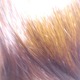 Brown hair߂ȂEEEI