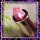 ANNA SUI}[ubvՓ