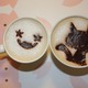 `́@t(#^.^#)